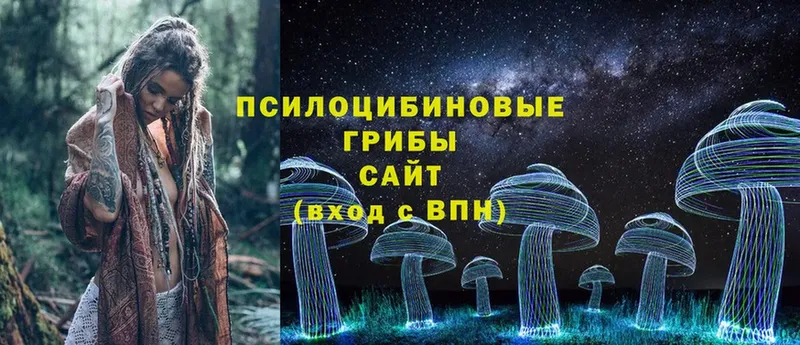 Псилоцибиновые грибы Psilocybine cubensis  где продают наркотики  Ялуторовск 